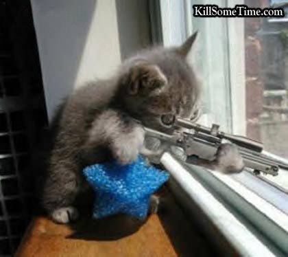 elle fait la guerre
